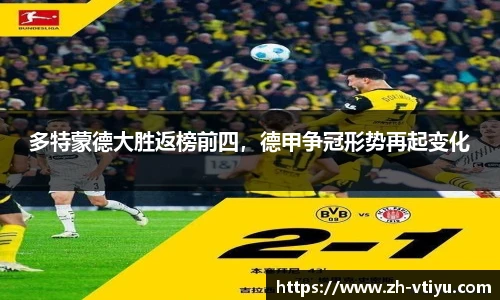 V体育官方app