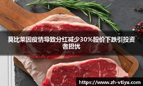 V体育官方app
