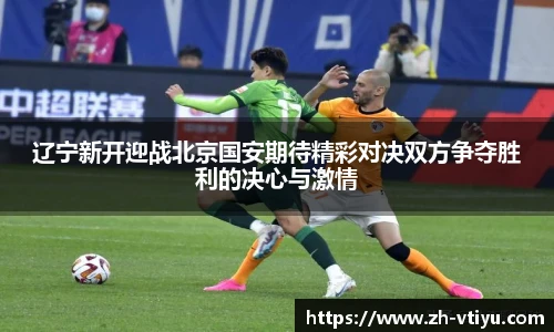 V体育官方app