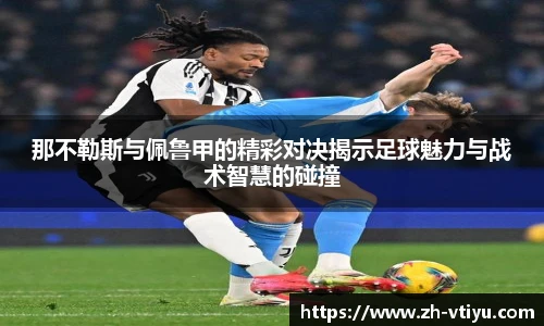 V体育官方app