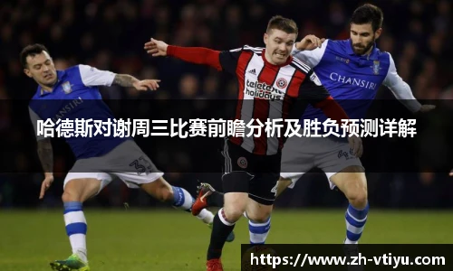 哈德斯对谢周三比赛前瞻分析及胜负预测详解
